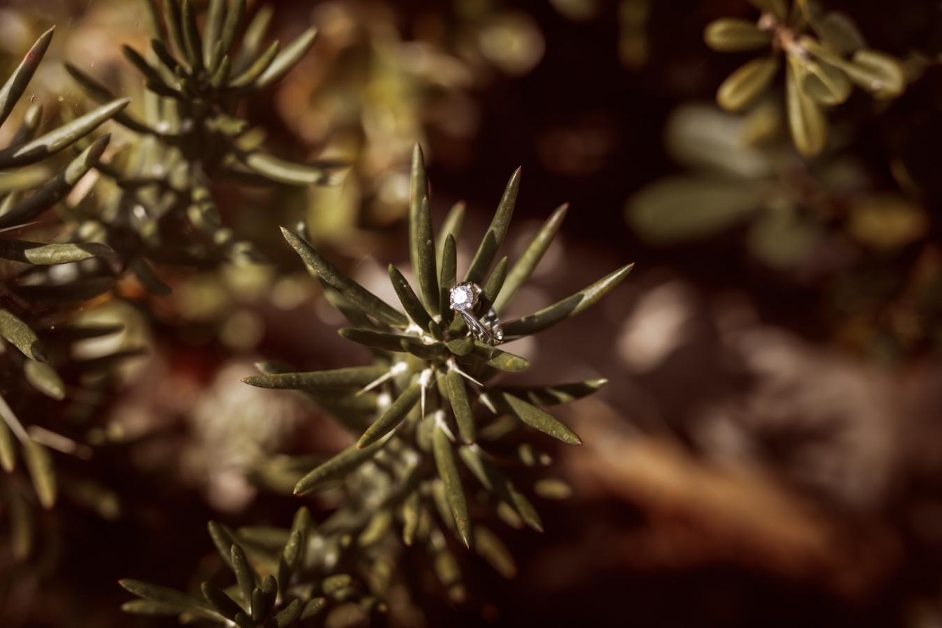 foto  Villa wedding in Lucca