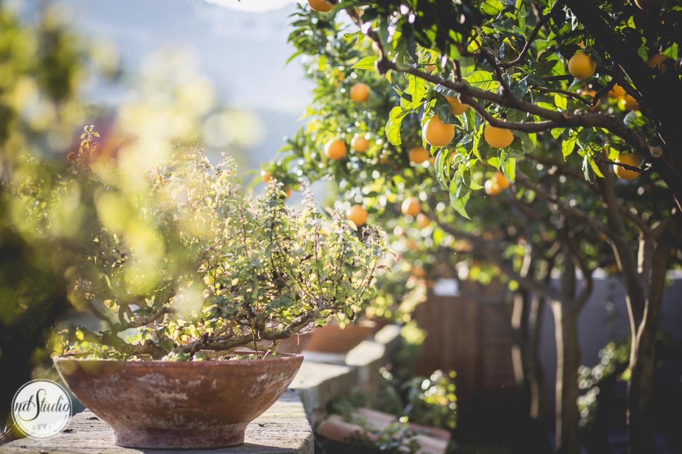 foto  ND Photo first Indian Wedding in Italy