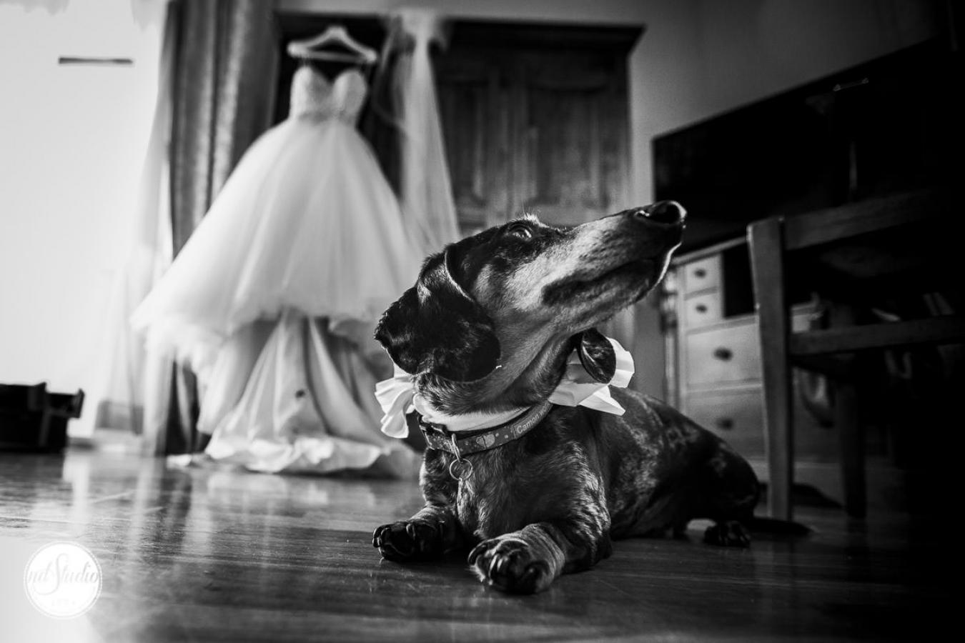 foto  Certosa di Pontignano Charmy Wedding