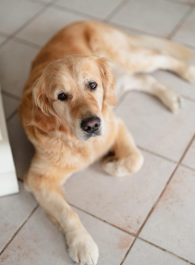 foto  Wedding in Marina di Pietrasanta Versilia