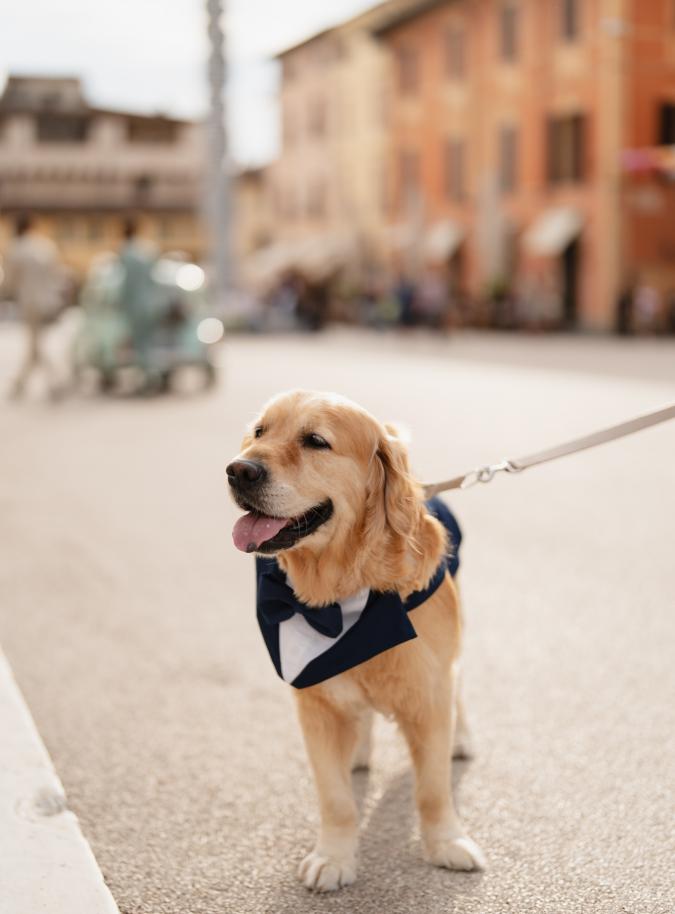 foto  Wedding in Marina di Pietrasanta Versilia