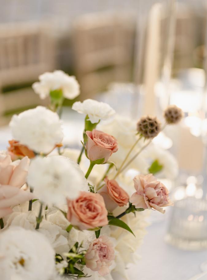 foto  Wedding Paradis Agricole Pietrasanta