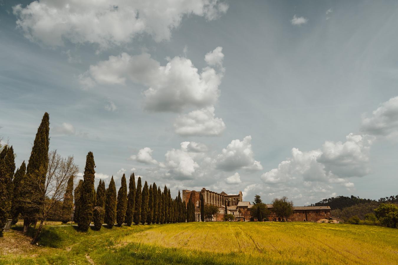foto  Wedding in the San Galgano Abbey