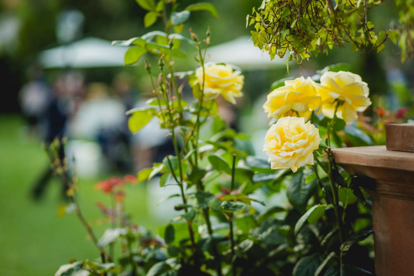 foto  Wedding in Villa Scorzi - Pisa