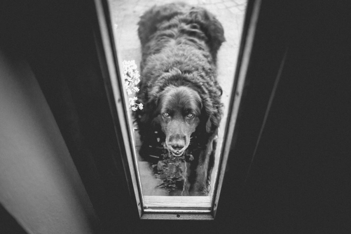 foto  Wedding in Villa Scorzi - Pisa