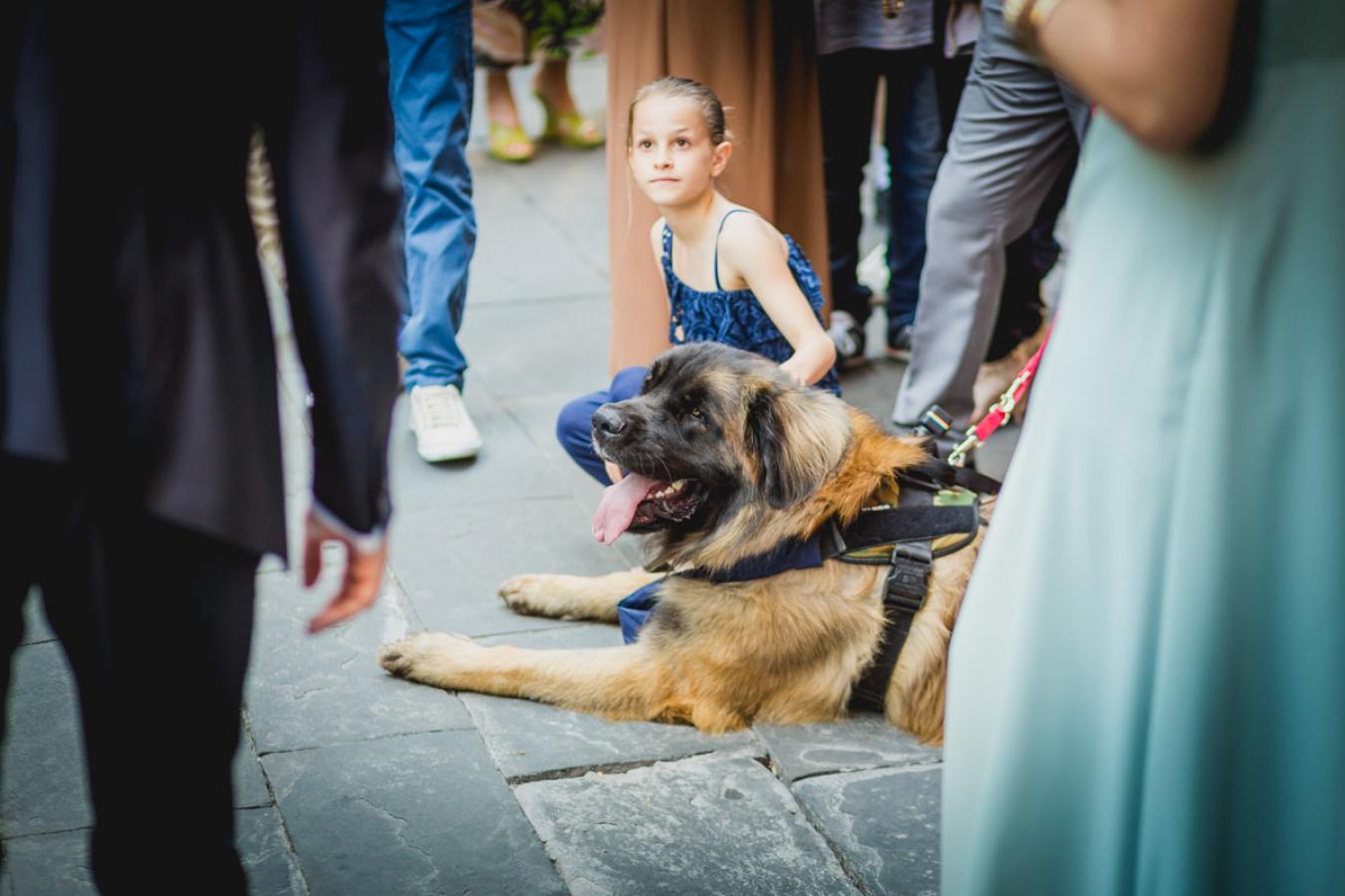 foto  Wedding in Villa Scorzi - Pisa
