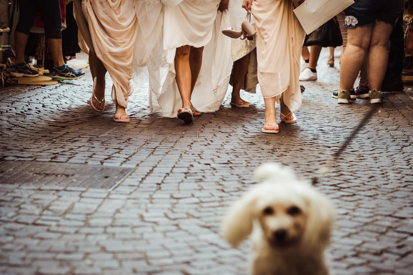 foto  Wedding on the Garda Lake
