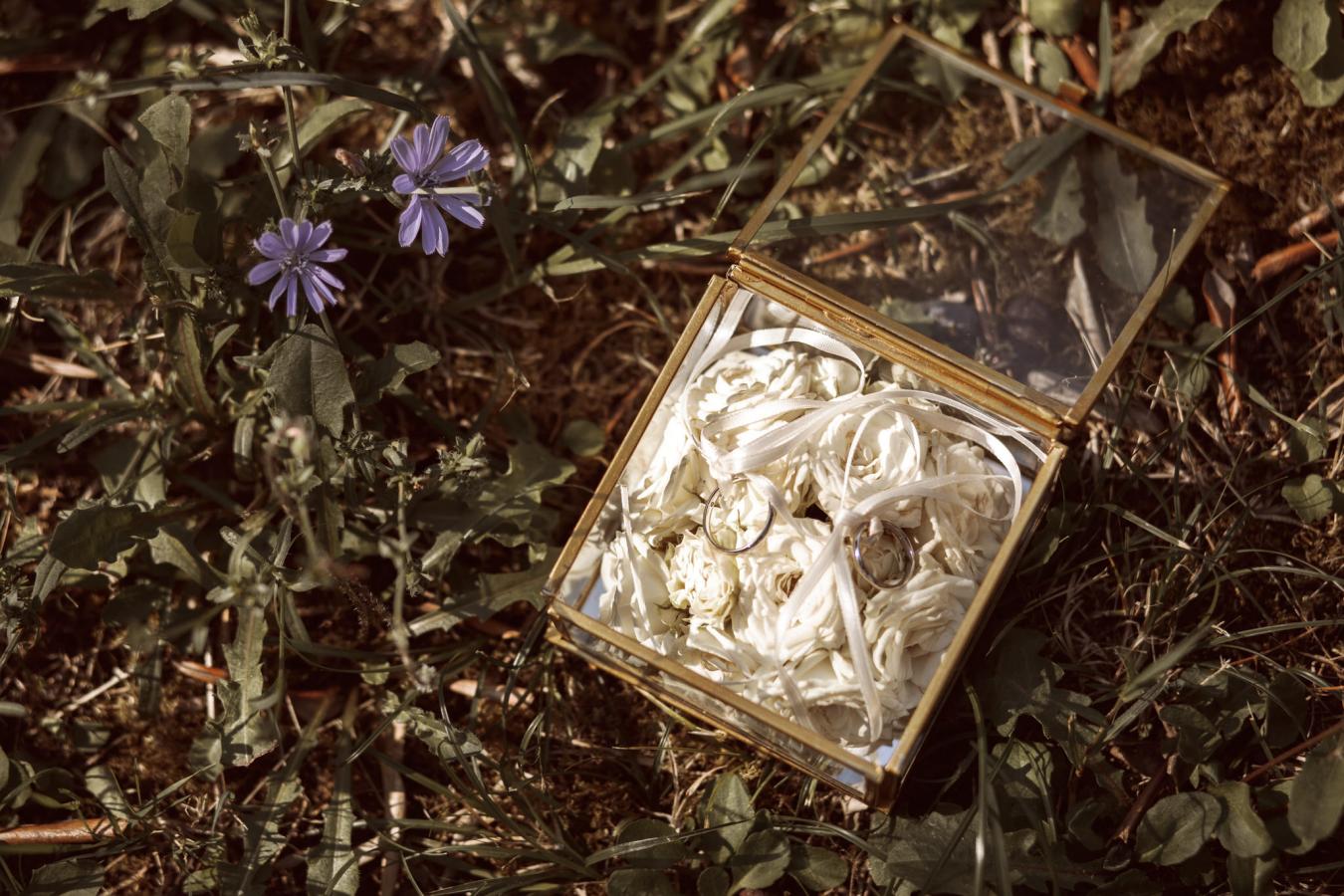 foto  Wedding in Fattoria Campo Romano