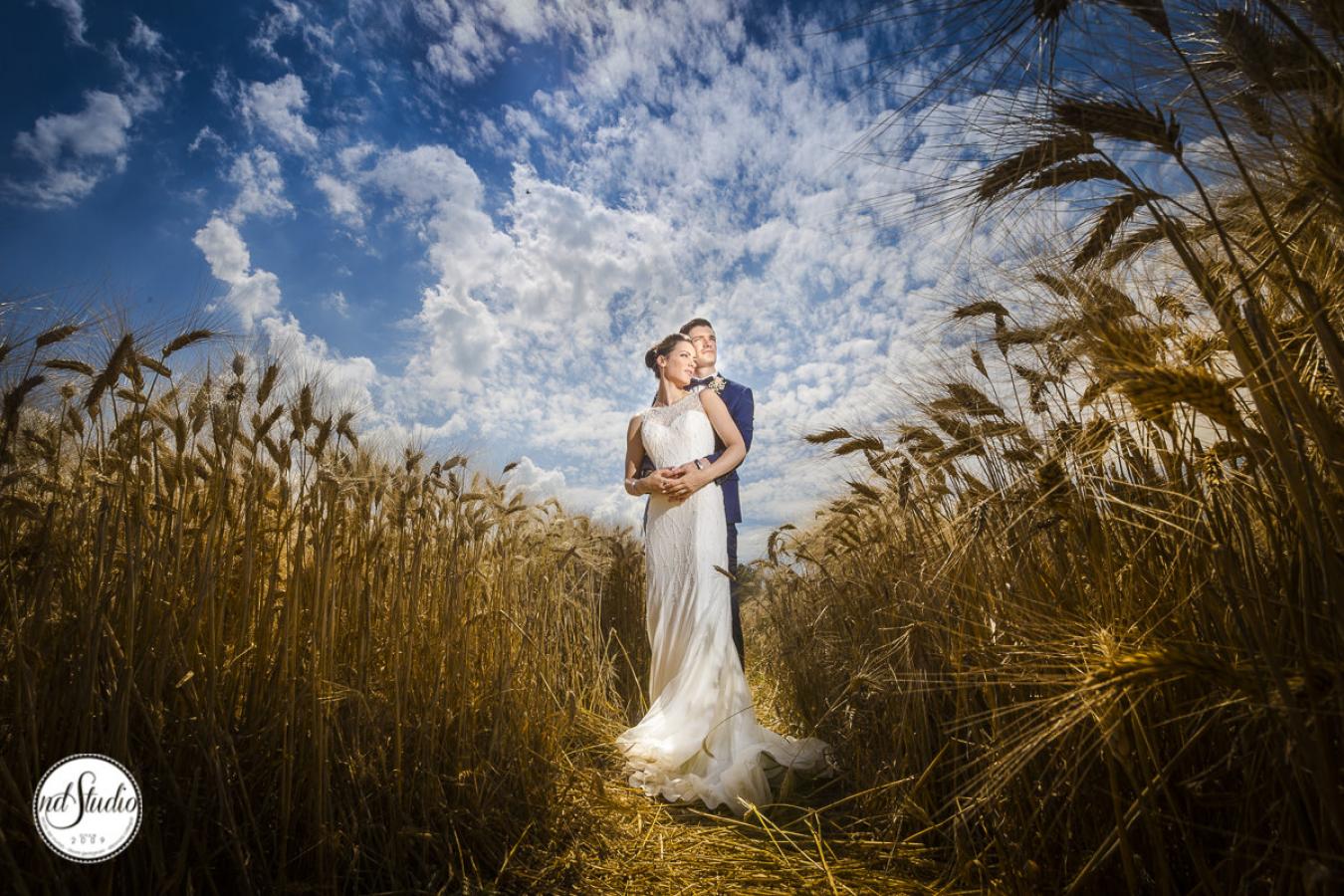 foto  Alex and Nicolle - Wedding in San Galgano Abbey