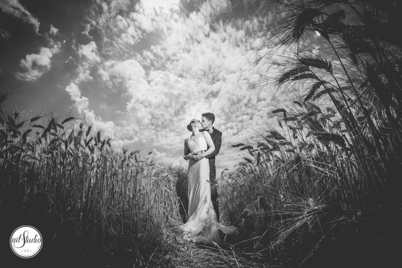 foto  Alex and Nicolle - Wedding in San Galgano Abbey