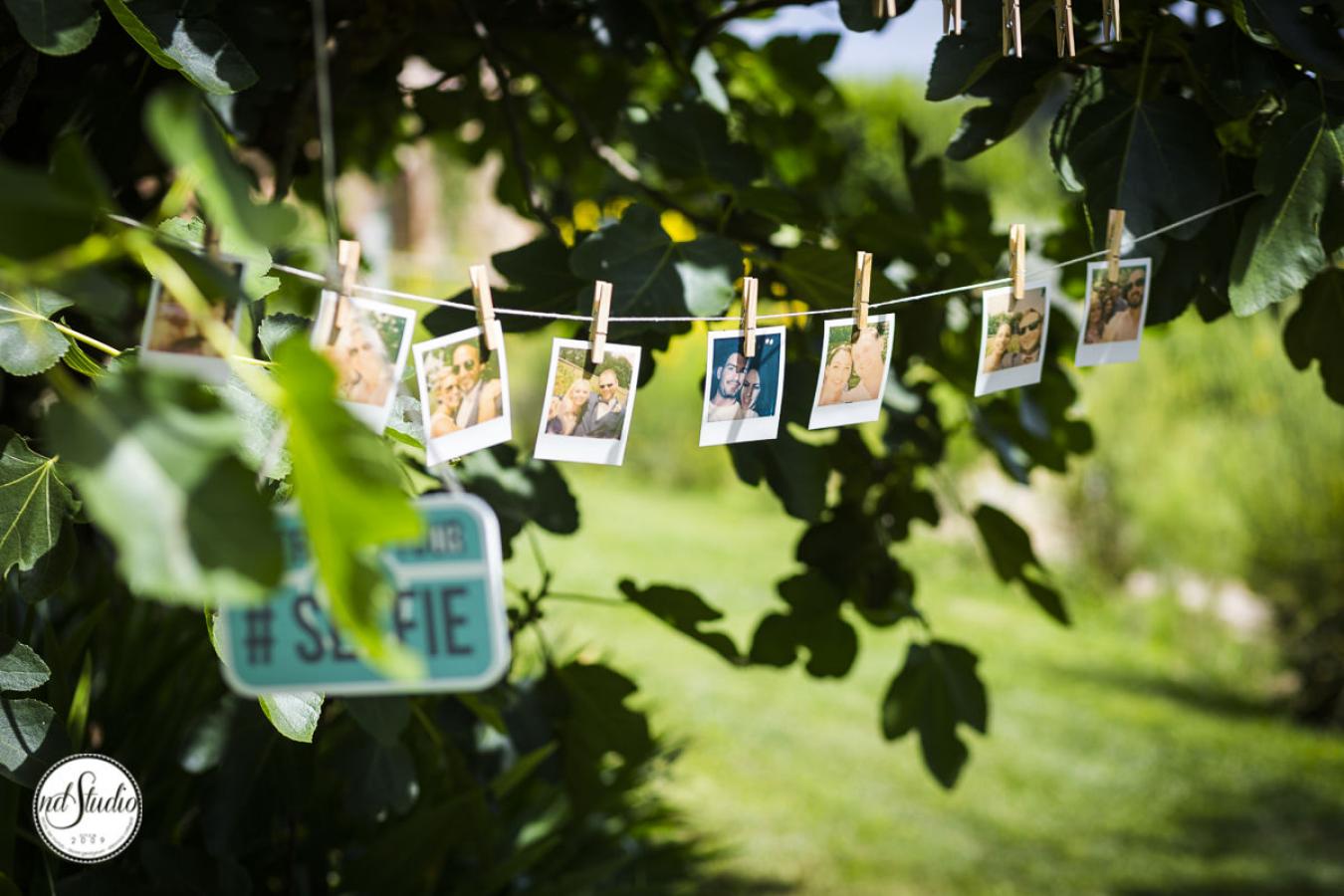 foto  Alex and Nicolle - Wedding in San Galgano Abbey