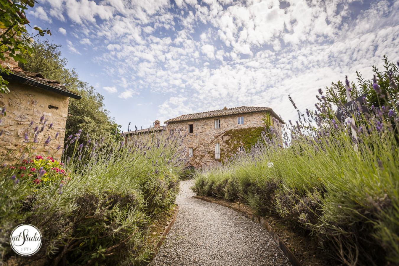foto  Alex and Nicolle - Wedding in San Galgano Abbey