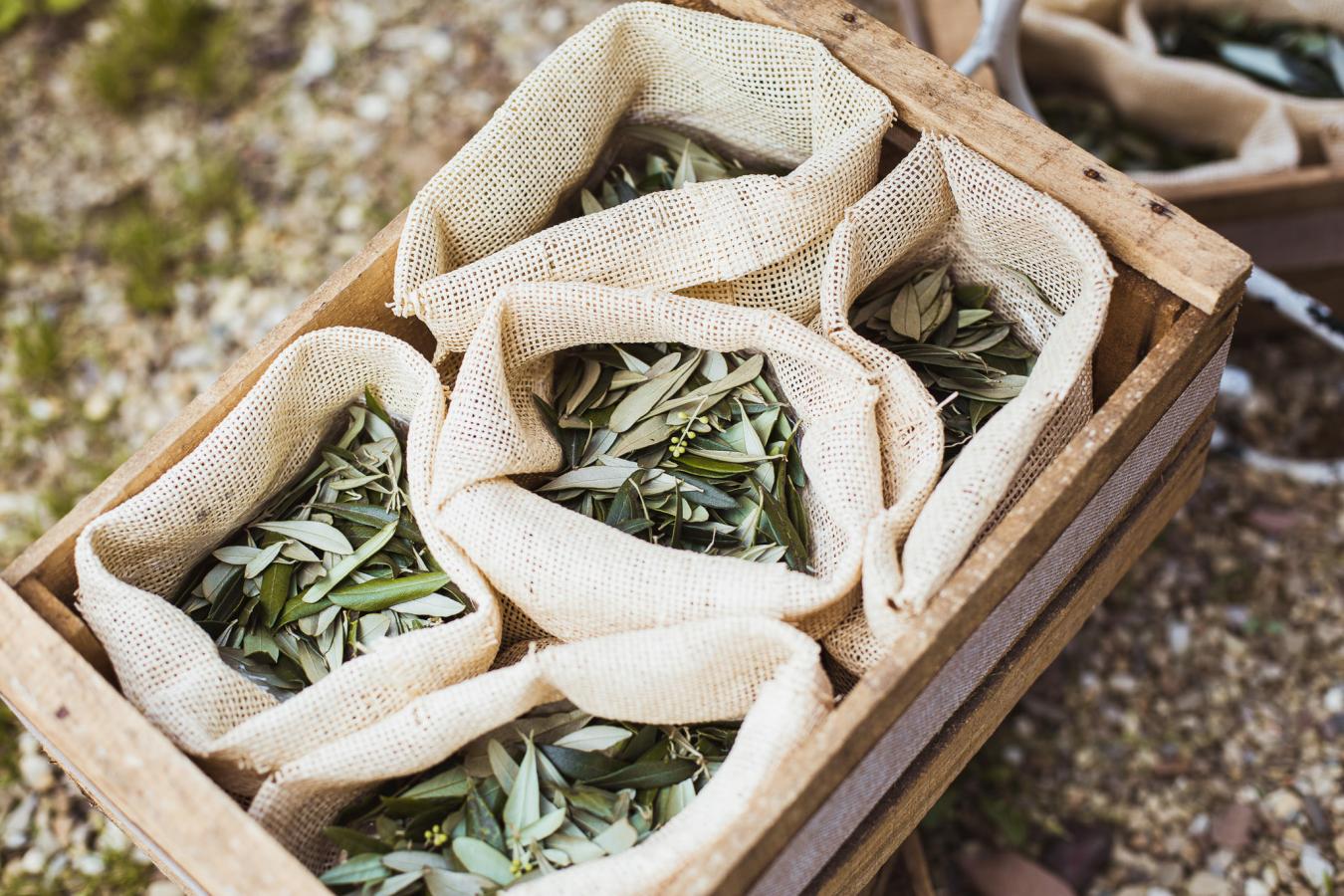 foto  Benjamin and Louise in Villa Le Fontanelle Florence