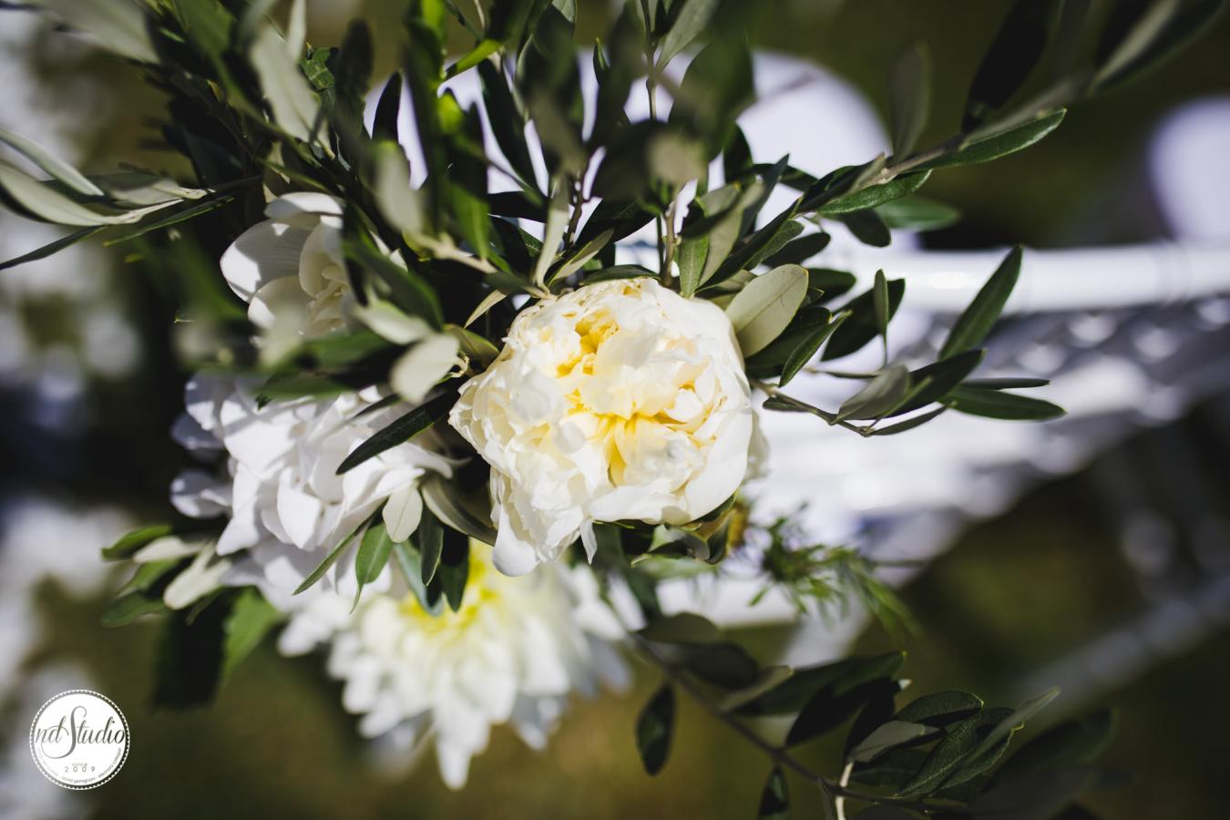 foto  Wedding in Casa Cornacchi