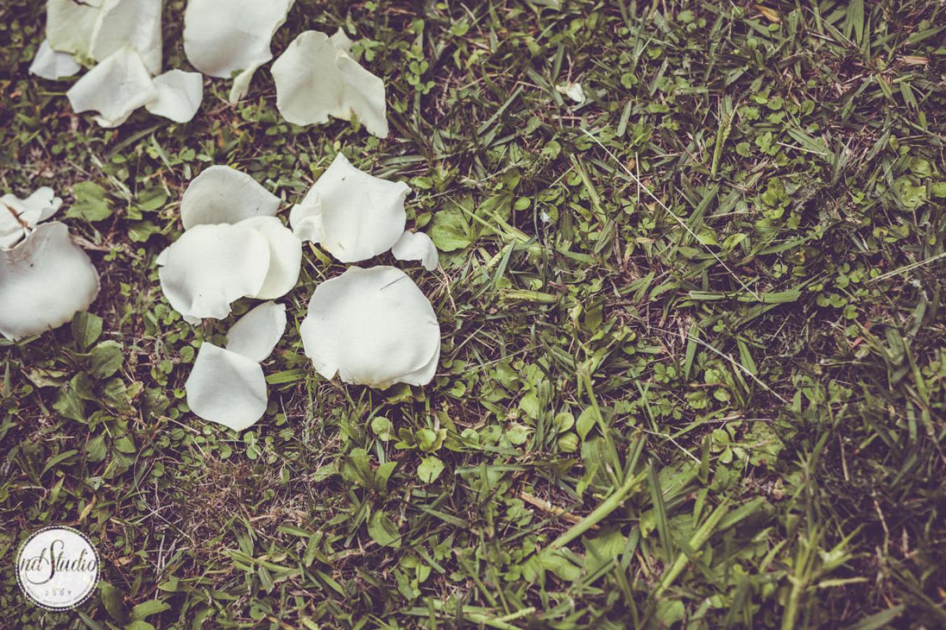 foto  Andy and Theresa - Wedding in Tuscany