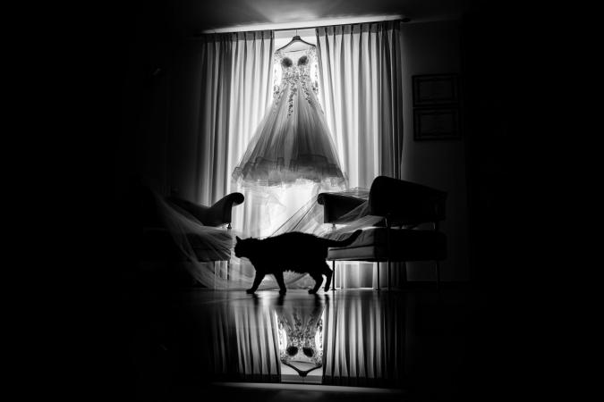
	wedding dress
