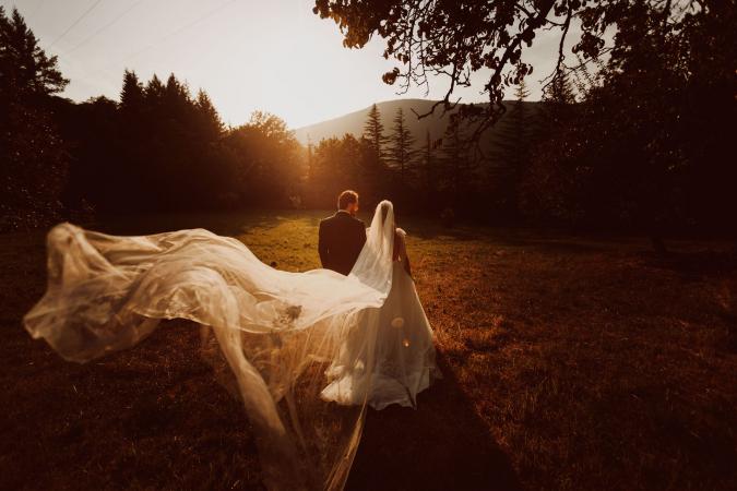 
	bride veil
