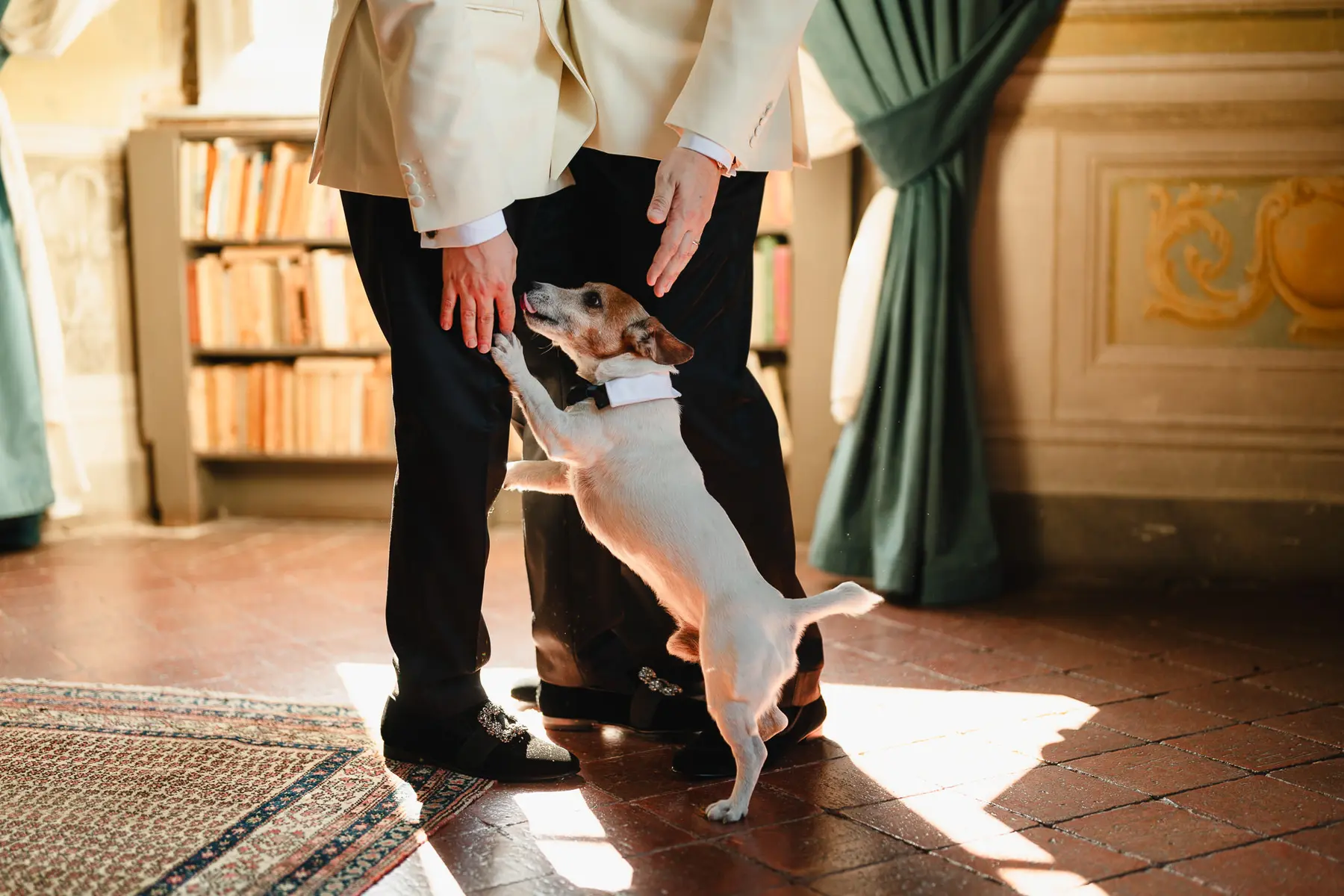ivory tuxedos grooms