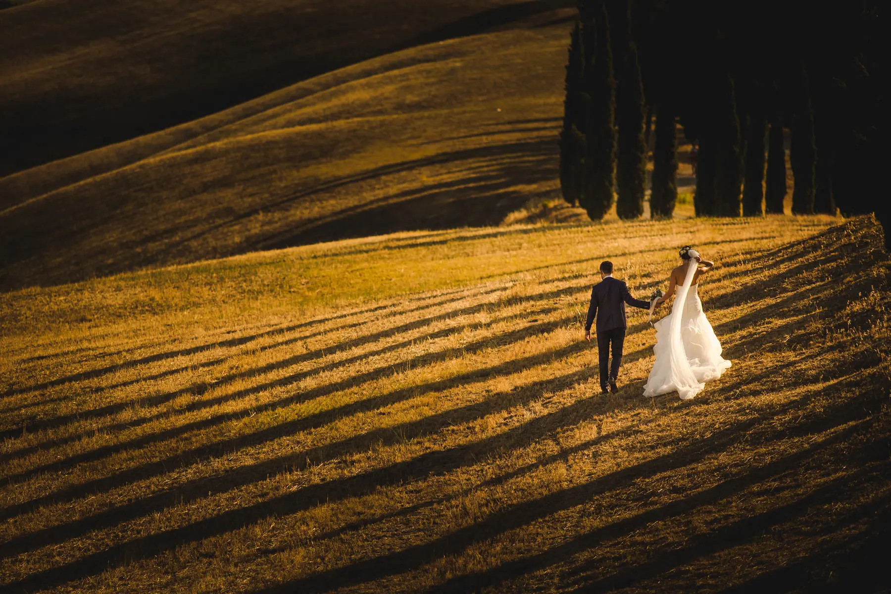 wedding chianti