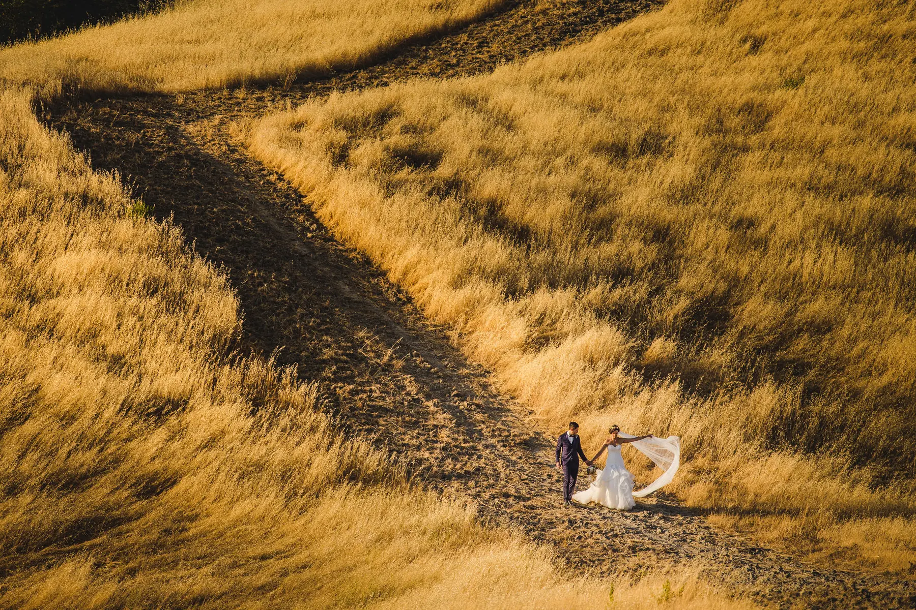 wedding photographer Siena
