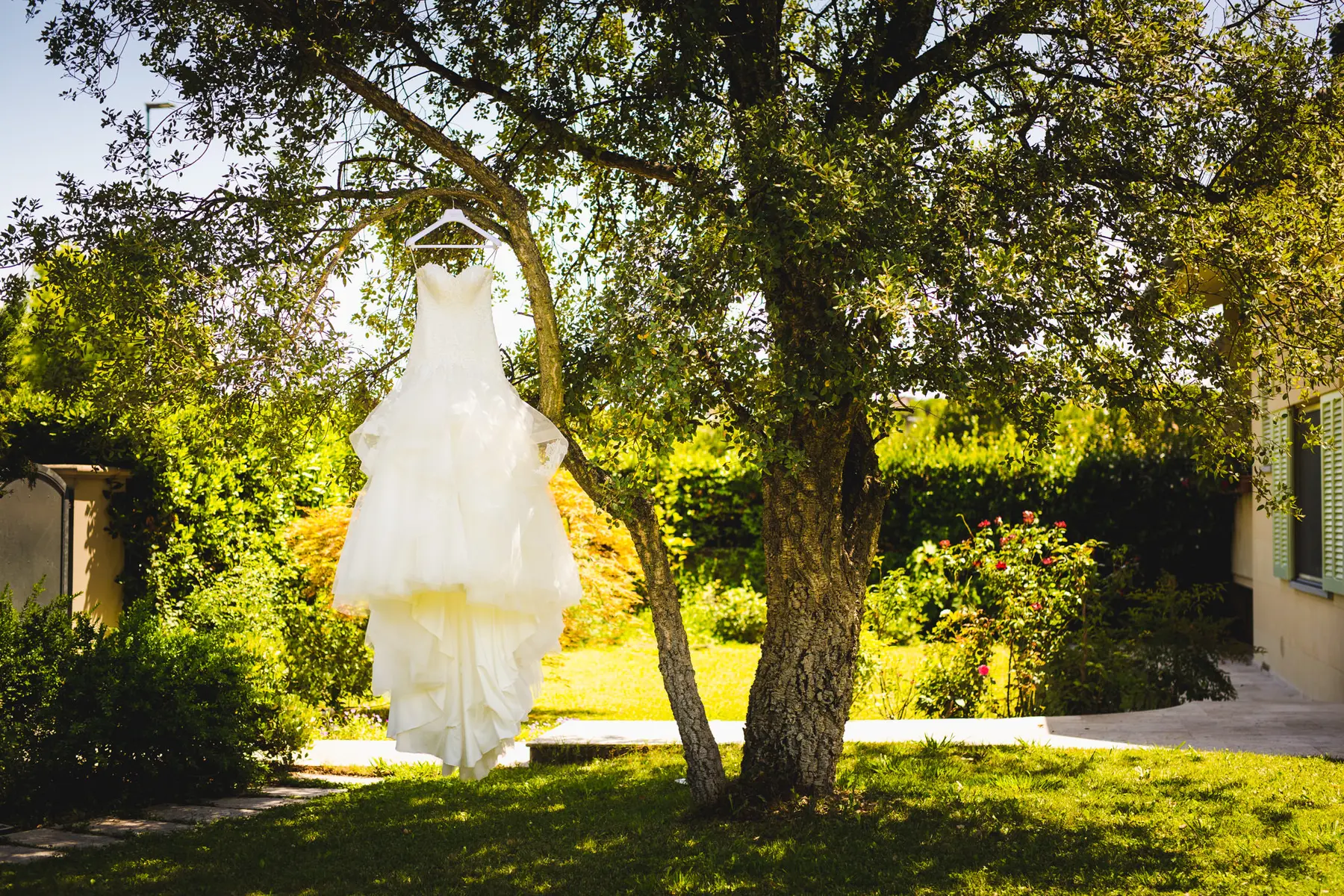 wedding Lucca