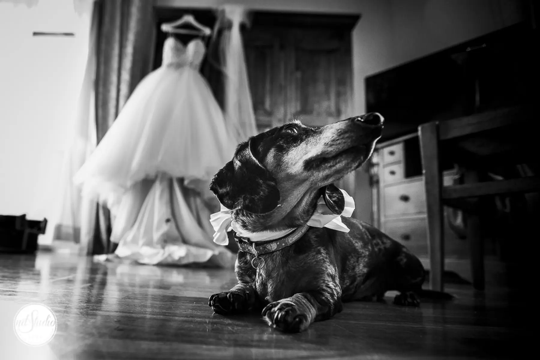 wedding photographer in Tuscany