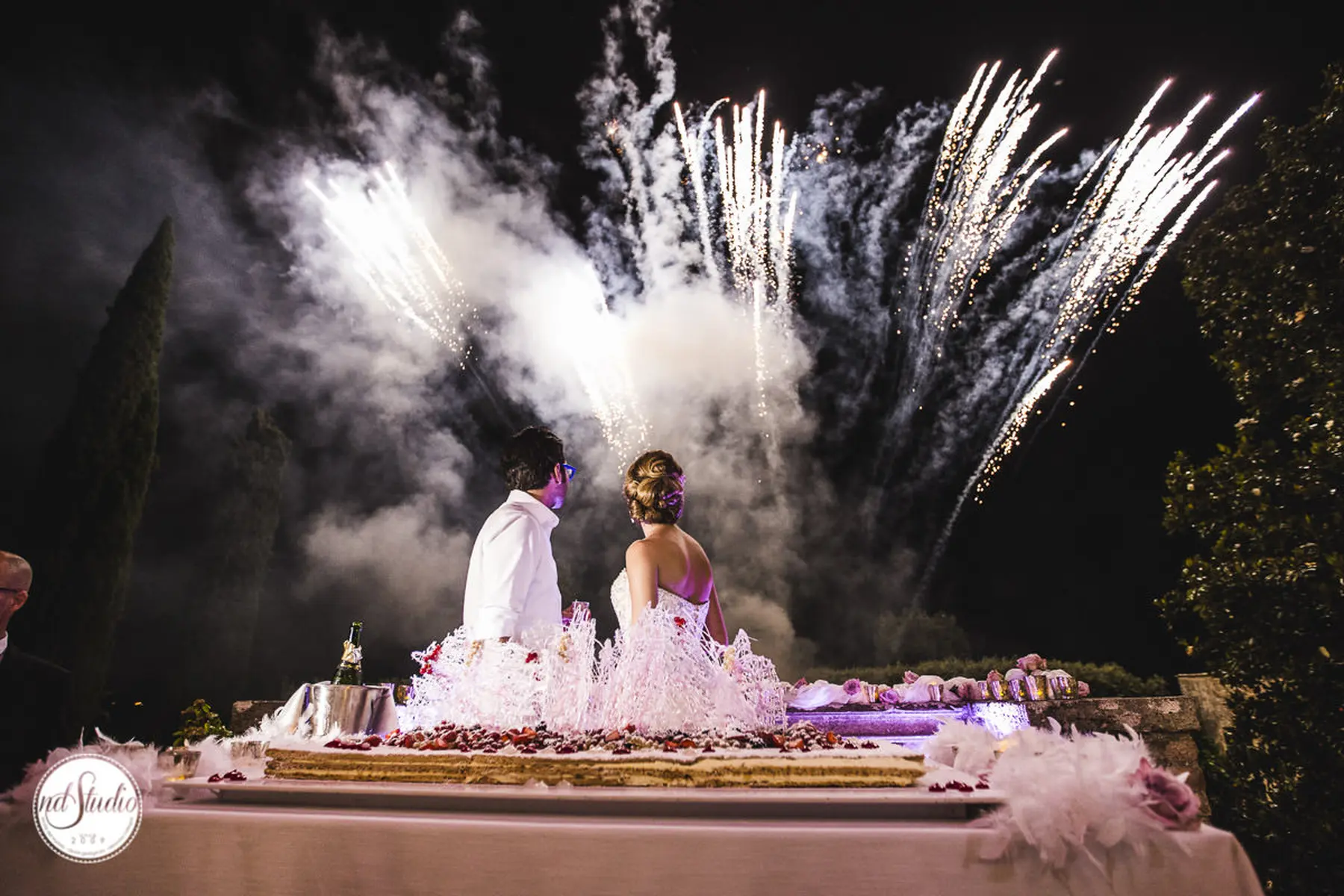 wedding in Pisa
