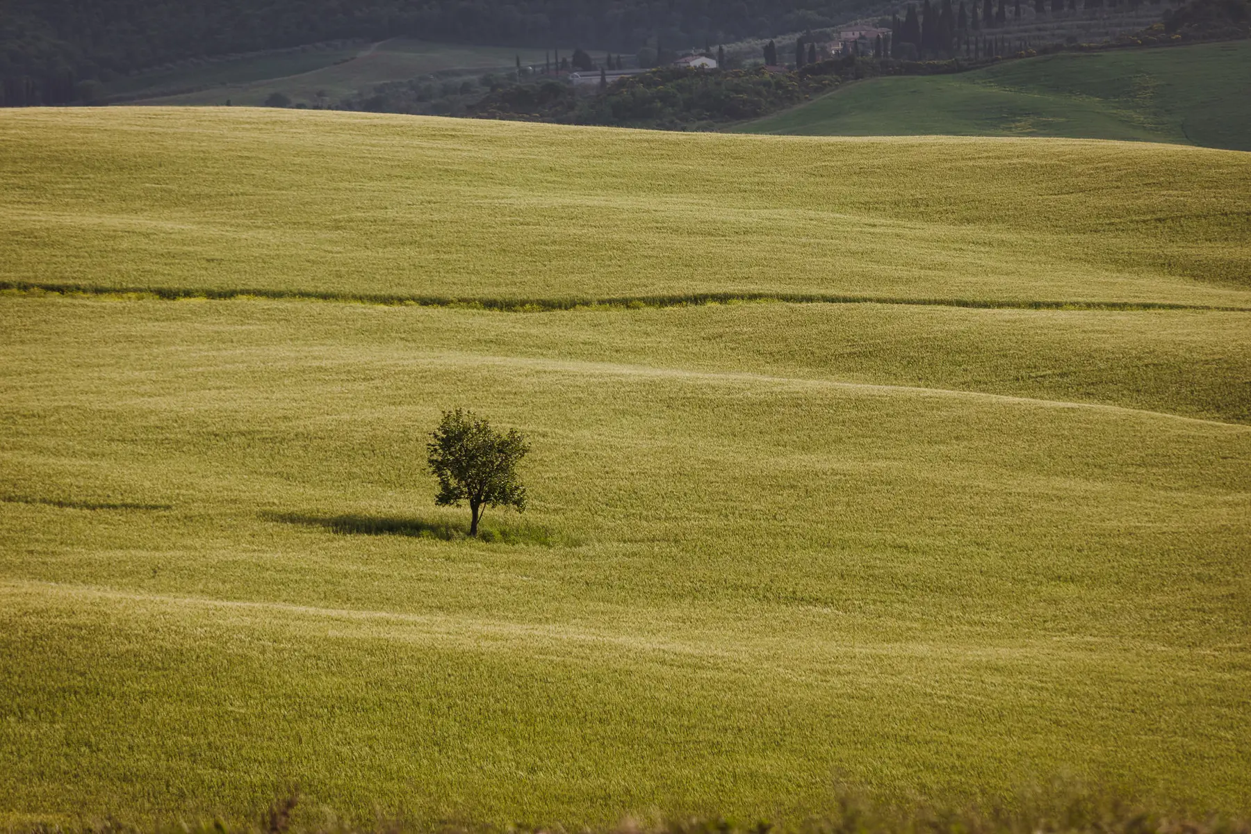 Wedding in Pienza - Picture n. 48
