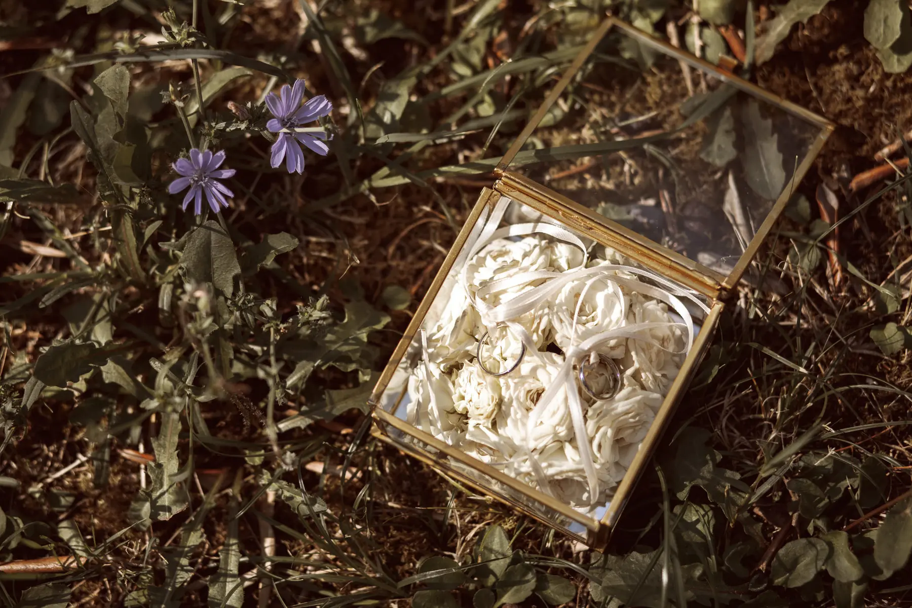 Wedding in Fattoria Campo Romano - Picture n. 4
