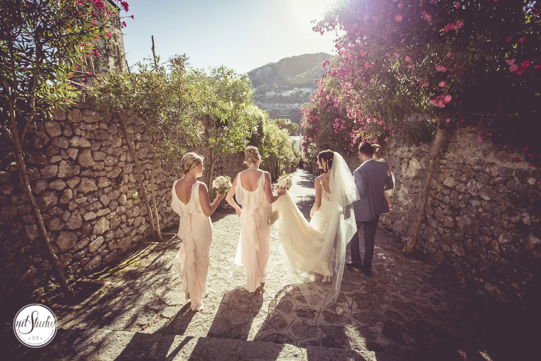 wedding Pisa
